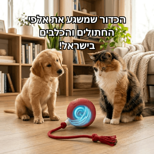 כדור משחק חכם