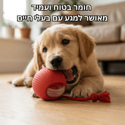 כדור משחק חכם