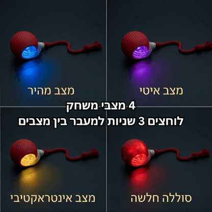 כדור משחק חכם