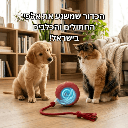 כדור משחק חכם