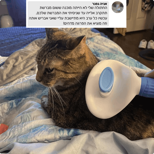 מברשת להסרת פרווה