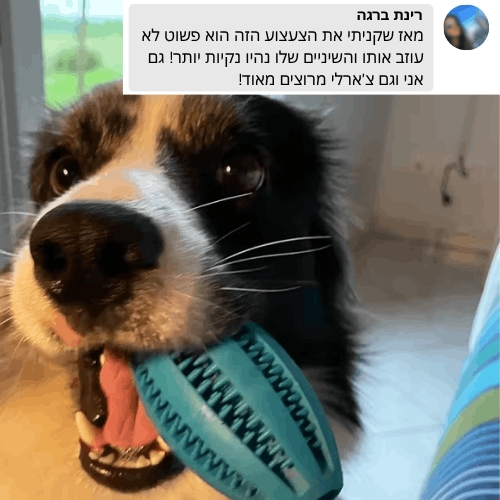 צעצוע האכלה לניקוי השיניים