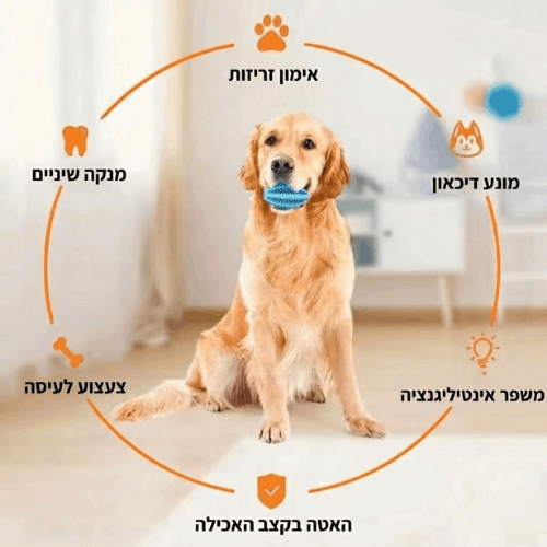 צעצוע האכלה לניקוי השיניים