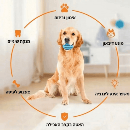 צעצוע האכלה לניקוי השיניים