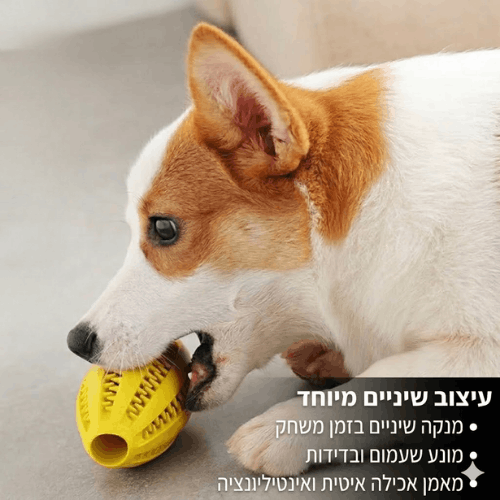 צעצוע האכלה לניקוי השיניים